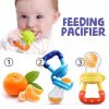 Baby Fruit Pacifier Feeder Toy 2 PCs Pack