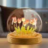 LED Acrylic Tulip Night Lamp