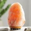 Himalayan Glow Night Lamp